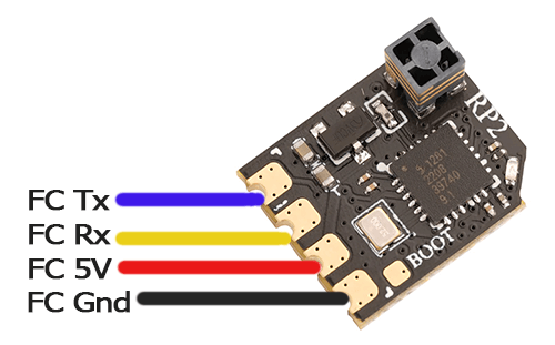 RadioMaster RP2 2.4GHz wiring pinout